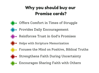 365 Scripture-Based Promise Cards | Daily Bible Verse Cards | One Promise for Each Day | Christian Printable Encouragement Cards